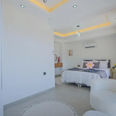 Guelce Villa Incirkoy